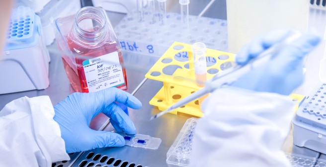 Pipettierung