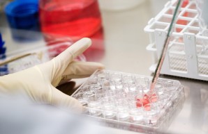 Experimentelle Forschung