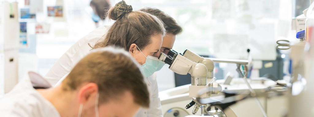 Junge Studierende beim Mikroskopieren