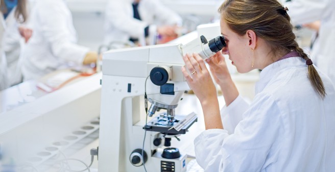 Ausbildung