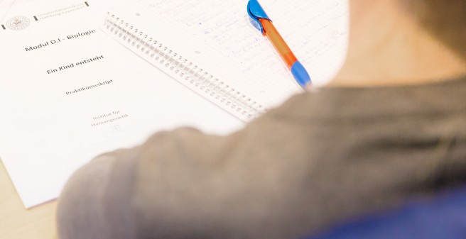 Studierende