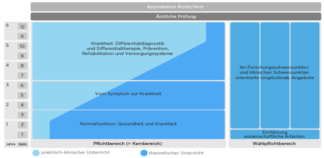 Schematische Darstellung des Curriculums im Modellstudiengang iMED