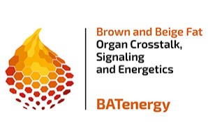 Logo SFB TT 333