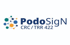 pODOSIGN