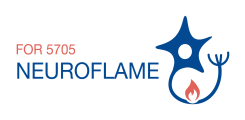 Neuroflame