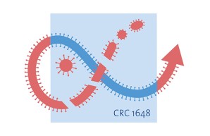 Logo SFB 1648