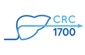 Logo SFB 1700