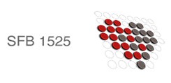 Logo SFB 1525
