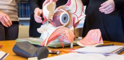Ausbildung Orthoptik