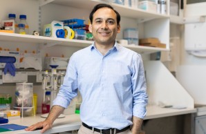 Prof. Dr. Pablo J. Sáez