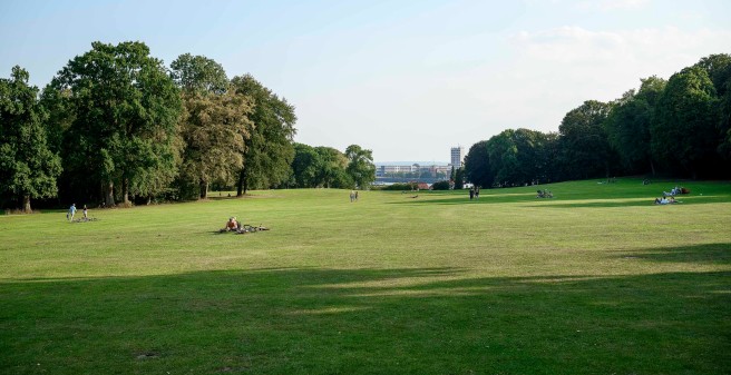 Blick vom Jenisch-Haus zur Elbe. eine weite Sichtachse über den Rasen mit altem Baumbestand links und rechts
