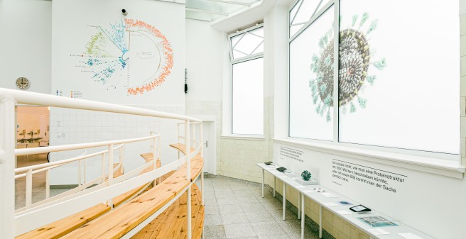Corona_Pandemie_Ausstellung