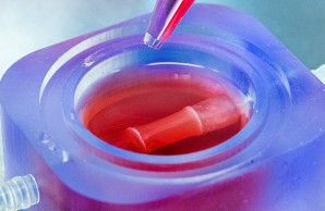 Tissue Engineering