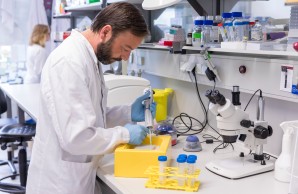 Genom_Forschung_2.jpg: Blick in das kardiologische Forschungslabor des UKE. Der Biologisch-Technische Assistent Alexander Haschke pipettiert die genomische DNA auf eine Lagerplatte