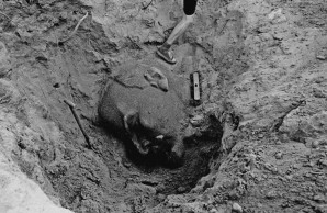 Der Lenin-Kopf in der Ausgrabungsstelle im Wald