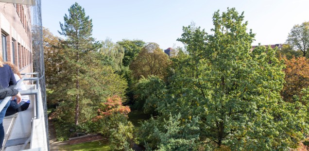 Blick vom Balkon der Station für Psychosomatik