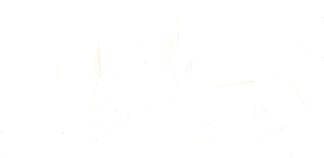 08