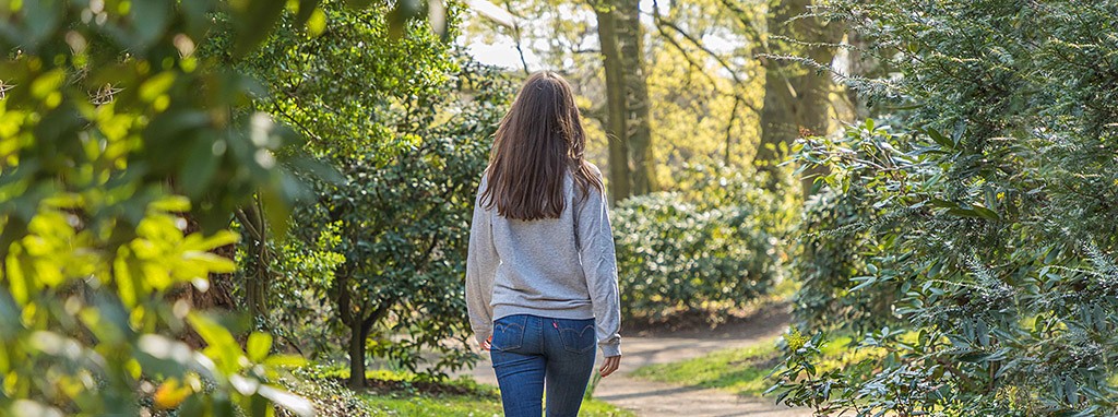 Hilfen im Konflikt - CarePreg