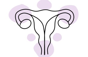 Uterus