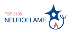 Logo des Projektes FOR 5705 "NEUROFLAME"
