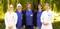 CSC Team