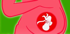 IMPAIRED FETAL IMMUNE DEVELOPMENT