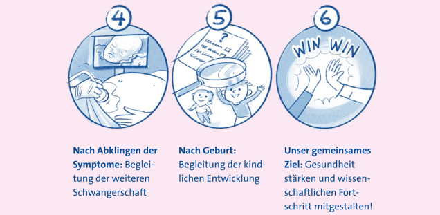 Studienablauf