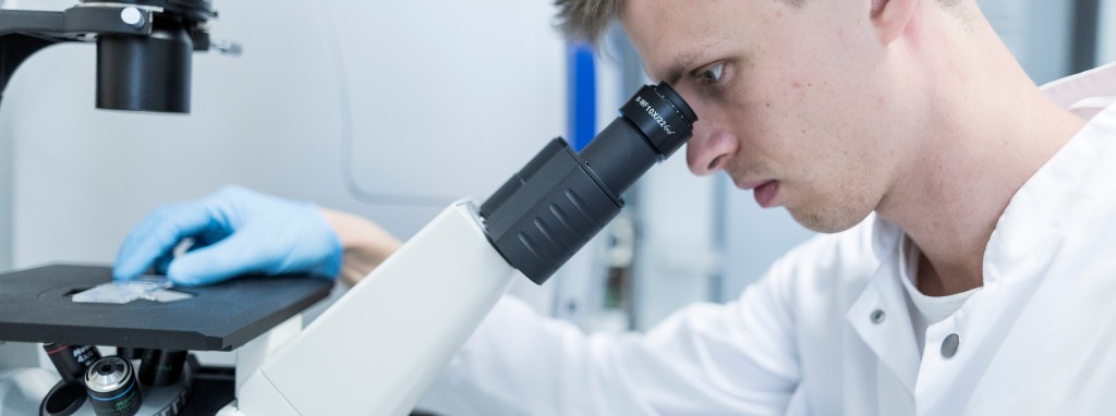 AG Gagliani, researcher by the work