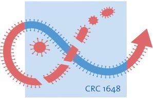 Logo SFB 1648