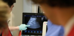 Notfalldiagnostik per Ultraschall