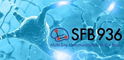 Label des Sonderforschungsbereichs 'SFB936'