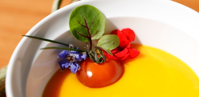 Bildbeispiel der KGE - Suppe