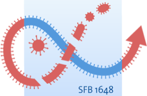 SFB 1648 "Neu auftretende Viren"