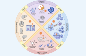 CRC 1648 Research Areas