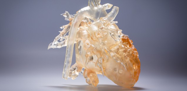  Bild eines  Modells eines Herzens aus dem 3D-Drucker