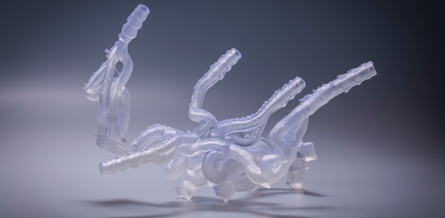  Bild von 3D-gedruckten Blutgefäßen des menschlichen Gehirns