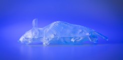 3D-Druck einer Maus