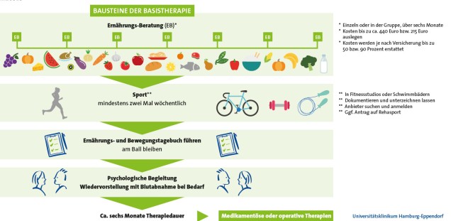Stufen der Basistherapie bei Übergewicht 