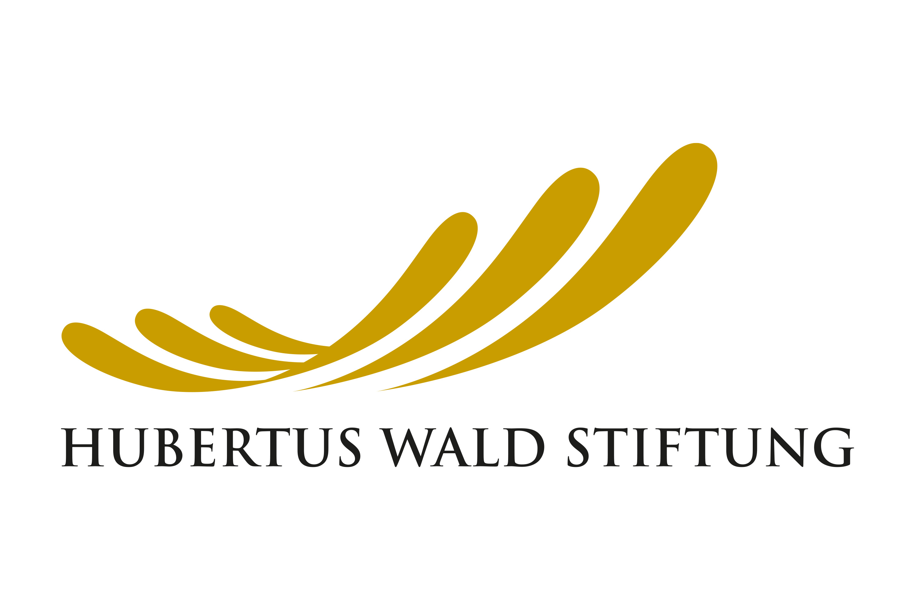 Huberus Wald Stiftungslogo 