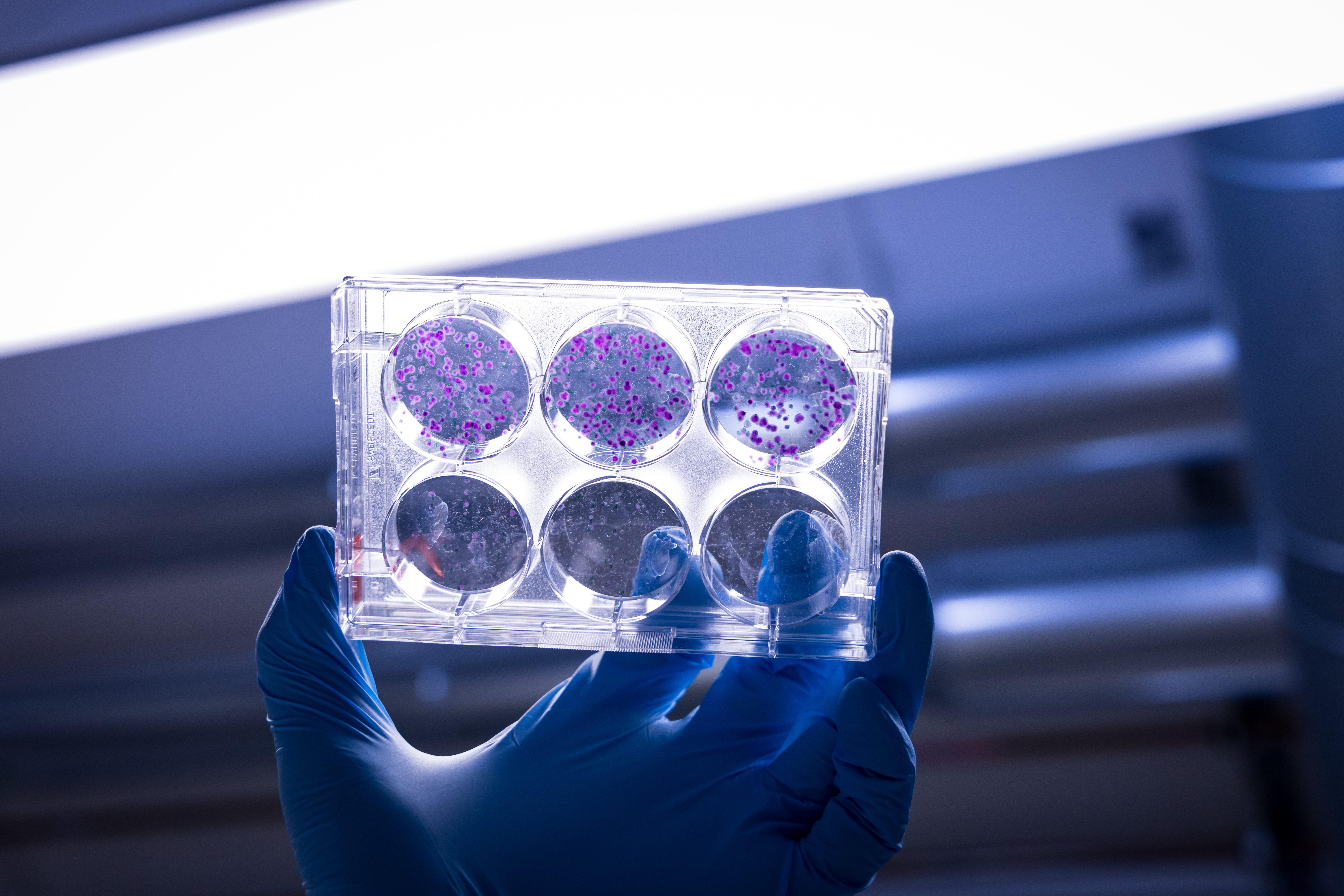 In a laboratory, a sample container is held up to the light.