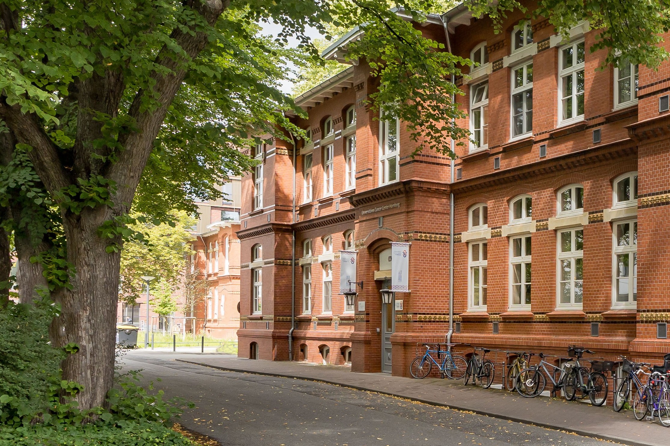  UCC Hamburg - O43 Zentrale Anlaufstelle Gebäude aus Backstein zwischen zwei Bäume hindurch fotografiert