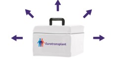 Die_Transplantation_2