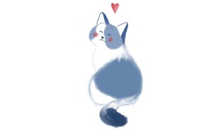 Haustiere_Katze