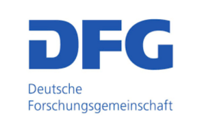 dfg logo