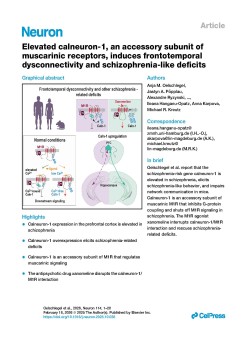 Cover Publikation in NEURON