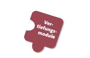 Vertiefungsmodule
