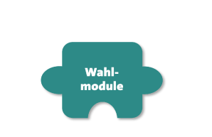 Wahlmodule